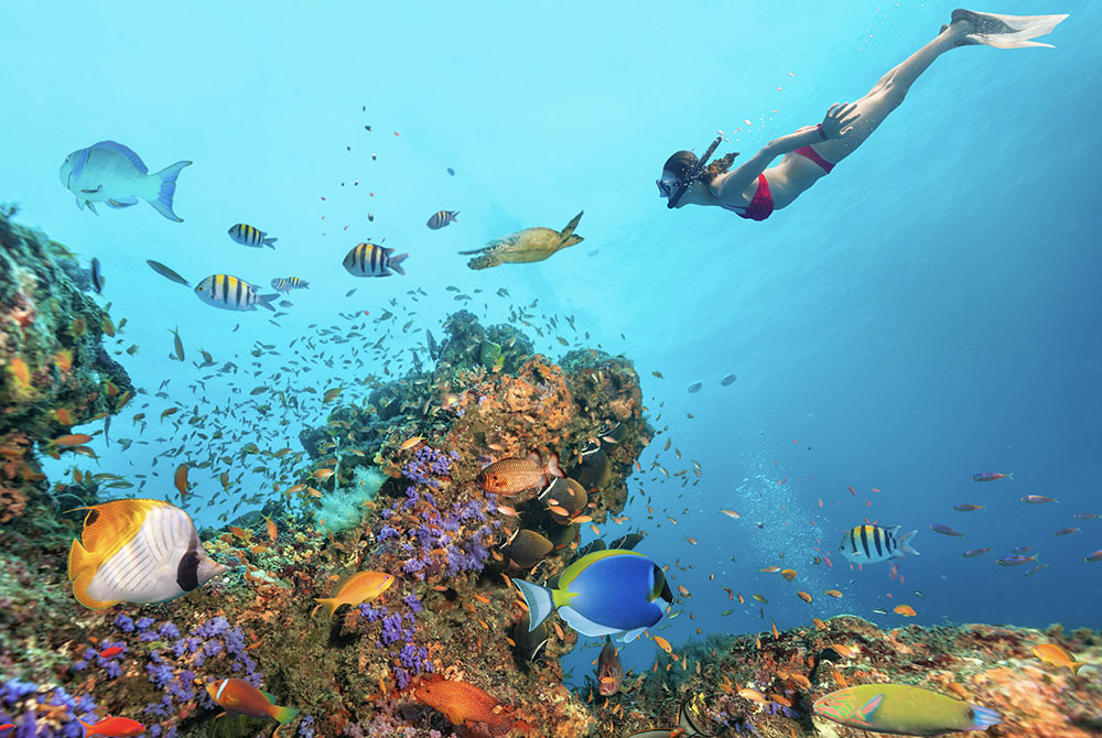 Haciendo snorkel desde el velero